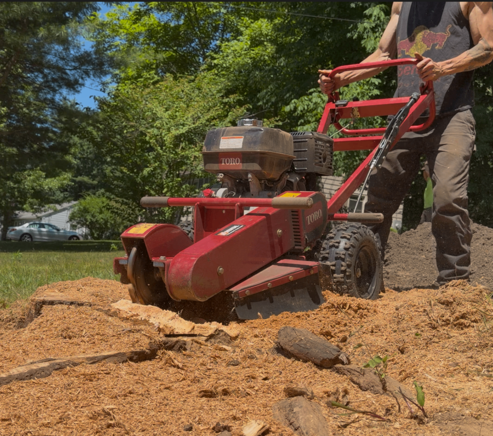 Stump Grinding